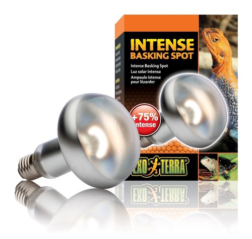 Exo terra intense basking - exo,