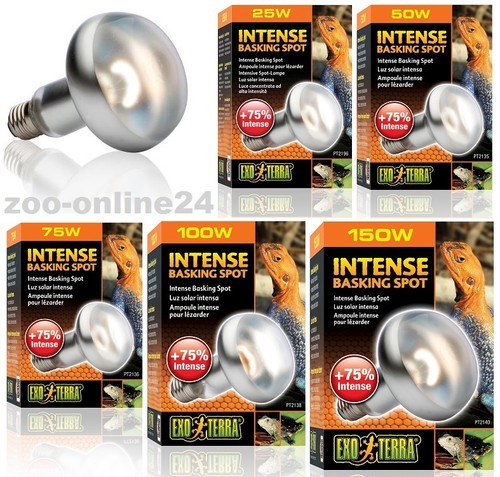 Exo terra intense tight beam - exo-terra, intense-tight