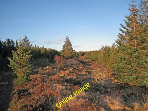Foto 12x8 sonnenbeschienener - 12x8,