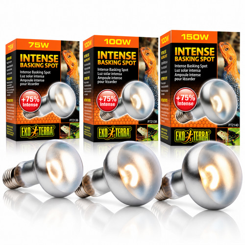 Exo terra intense basking spot - terra,